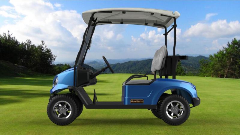 Rariro CE Approved Golf Buggy Electric Golf Carts New Model Golf Cart for Sale ()