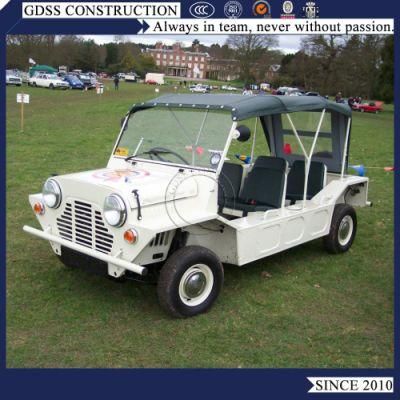 China Hot Popular Mini Petrol Car Moke Lsv for Sale