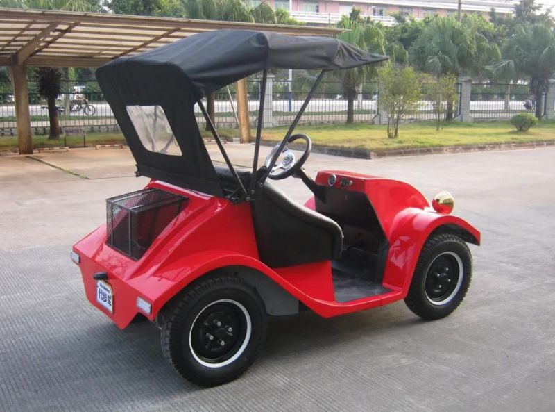 Rariro High Quality Upgrade 4kw Motor Powerful 2 Seat Electric Golf Cart