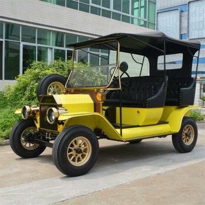 AC Motor Brushless 5000W Electric Car for Passenger