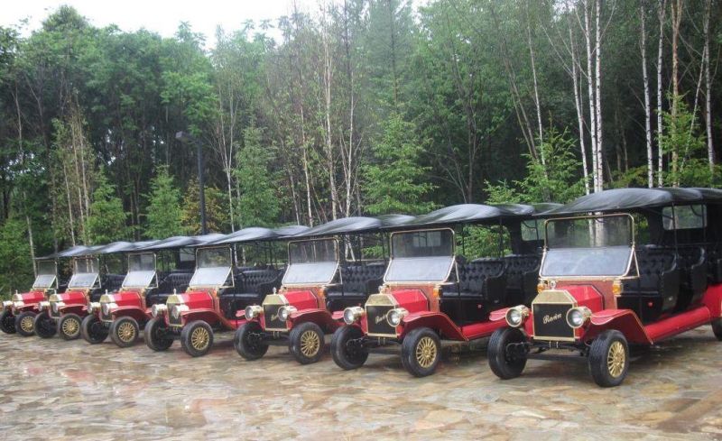 High Performance Electrical Vehicle 6 Passengers Sightseeing Car Electric Golf Cart Golf Buggy for Club