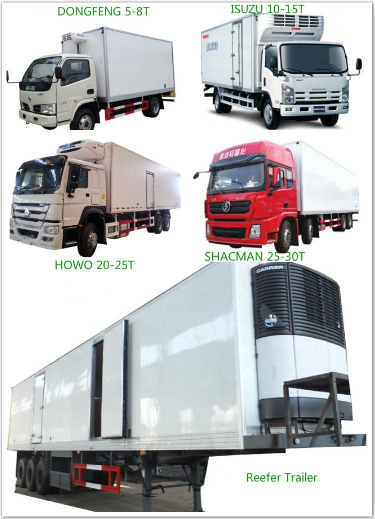 Heavy Load Isuz Giga 8X4 20tons 25tons 30tons 20t 25t 20tonne 25tonne Refrigerator Box Truck