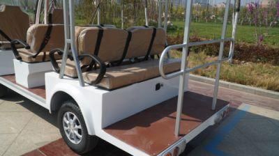 Electric Rariro Brand Golf Car and Sightseeing Bus for Big Park