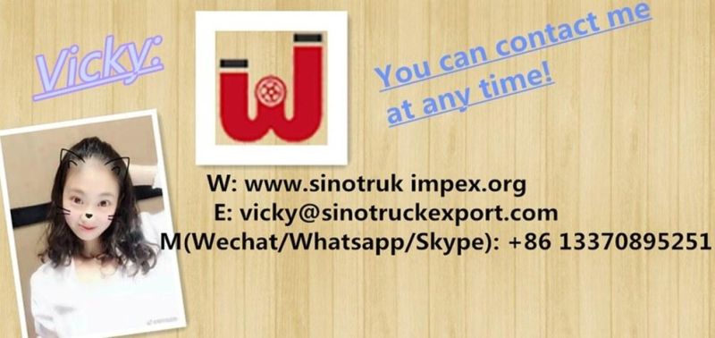 Low Price Sinotruck HOWO Refrigerated Van Truck for Sale