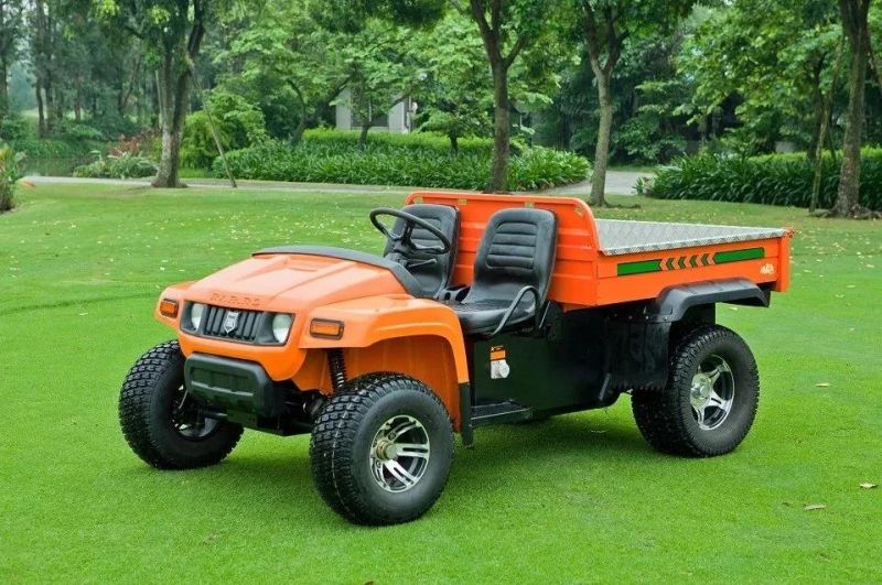 Electric UTV 5000W Electric Farmer Vehicle Electric Beach Vehicle Electric UTV