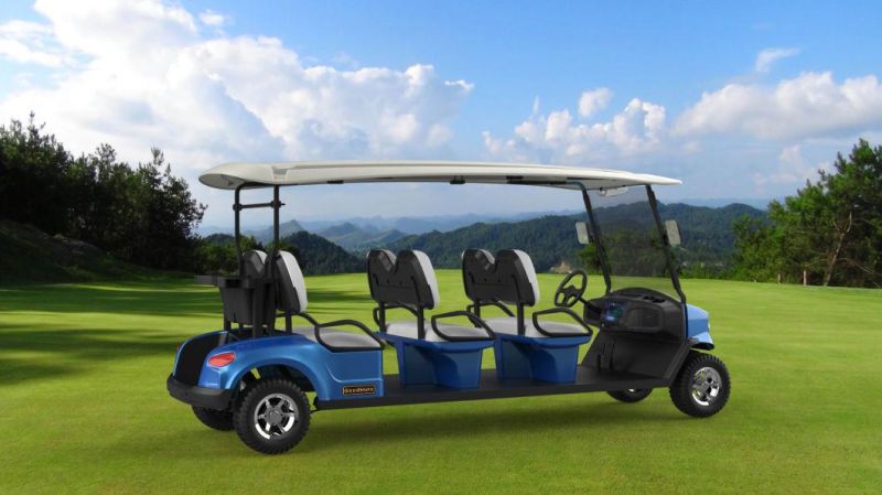 Rariro 6 Seater Electric Car for Golf with CE